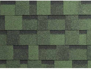 Фото: Iko Cambridge Xpress Amazon Green
