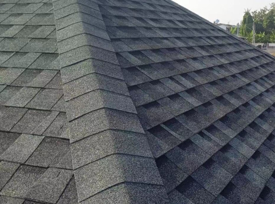Фото 5: бітумна черепиця seeton laminated asian green