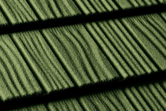 Фото 1: queentile shake green